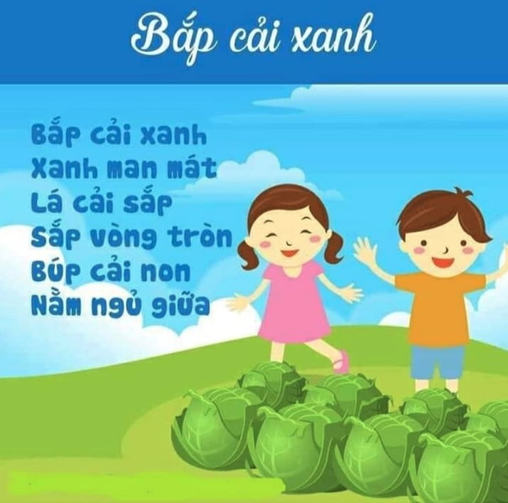 Bài thơ: Bắp cải xanh - Thơ thiếu nhi