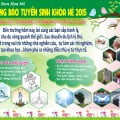 Trường mầm non Họa Mi tuyển sinh Khóa hè 2015