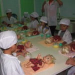 truong mam non hoa mi to chuc cho be di kizciti 2015 80