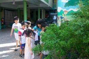 Giờ học quan sát vườn cây trường mầm non Họa Mi
