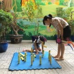 Hình ảnh Lễ Hội Xuân "VUI, KHỎE NGÀY XUÂN"