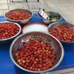 Hình ảnh bé làm mứt sơri