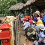 Hình ảnh các bé trường Họa Mi tham quan Thảo Cầm Viên ngày 14/04/2016