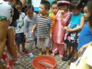 Hoạt động vui chơi ngoài trời của bé tại trường mầm non Họa Mi 12/2016 - Hình 1