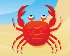 Bài thơ "Con Cua" - Thơ mầm non hay cho bé từ 1 đến 2 tuổi