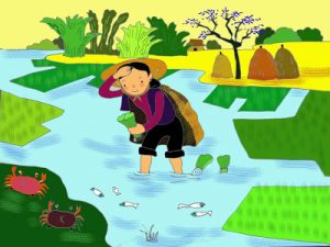 Hạt Gạo Làng Ta | Bài thơ Hạt gạo làng ta (Trần Đăng Khoa)