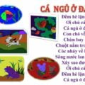 Cá ngủ ở đâu | Hình ảnh Bài thơ Cá ngủ ở đâu