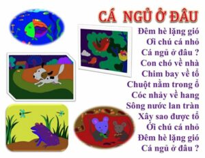 Cá ngủ ở đâu | Hình ảnh Bài thơ Cá ngủ ở đâu
