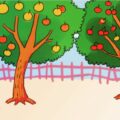 Hoa kết trái | Bài thơ Hoa kết trái (Thu Hà) Hoa Kết Trái | Bài Thơ Hoa Kết Trái (Thu Hà)