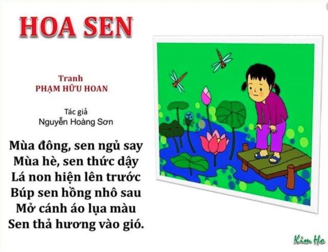 Hoa sen | Bài thơ Hoa sen (Nguyễn Hoàng Sơn)