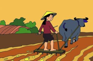 Bài thơ Đi bừa: mẹ đi bừa, mẹ dắt trâu đi bừa