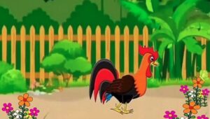 Truyện Con gà trống kiêu căng (Truyện Chú gà trống non kiêu căng)