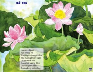 Hồ sen | Bài thơ Hồ sen (Nhược Thủy)