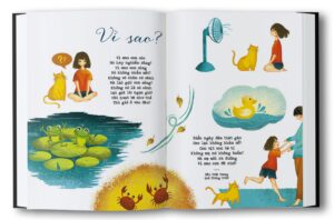 Vì sao? | Bài thơ Vì sao? (Xuân Quỳnh)