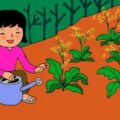 Vườn cải | Bài thơ Vườn cải (Trần Đăng Khoa)
