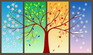 Bốn mùa ở đâu