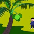 Cây dừa | Bài thơ Cây dừa: Cây dừa xanh toả nhiều tàu