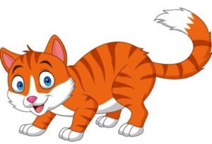 Chú mèo con | Bài thơ Chú mèo con (Định Hải)