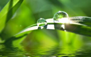 Giọt nắng | Bài thơ Giọt nắng