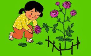 Bài thơ Cây thược dược: Cây thược dược, Mới ra hoa