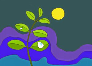 Giọt sương đêm | Bài thơ Giọt sương đêm (Nguyễn Lãm Thắng)