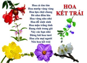 Hoa kết trái | Bài thơ Hoa kết trái (Thu Hà)