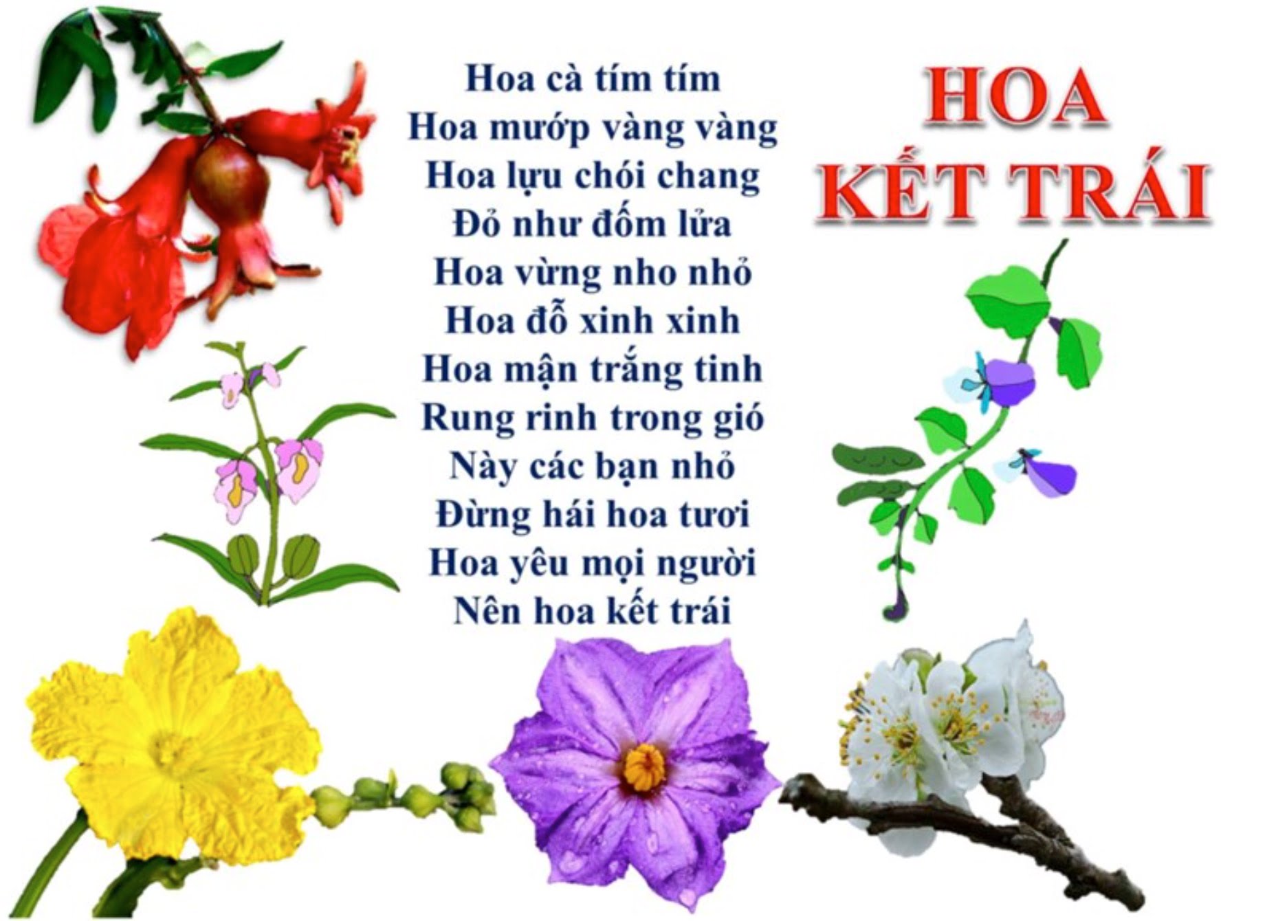 Hoa kết trái | Bài thơ Hoa kết trái (Thu Hà)