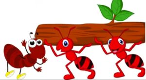 Kiến tha mồi | Bài thơ Kiến tha mồi