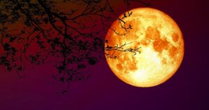 Trăng | Bài thơ Trăng: Trăng như quả thị chín vàng