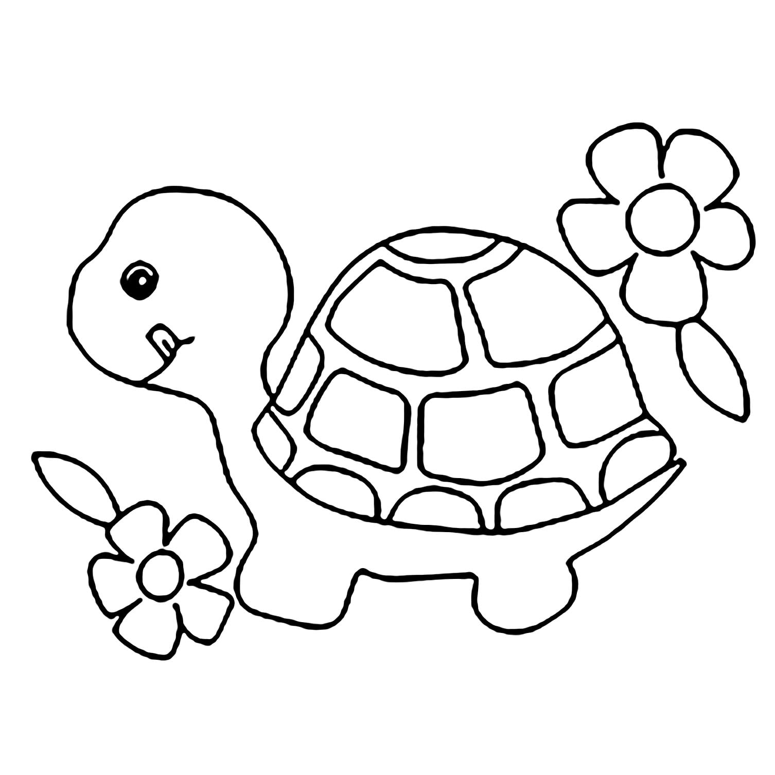 Tranh tô màu con rùa 1  Turtle coloring pages Easy coloring pages Turtle  drawing