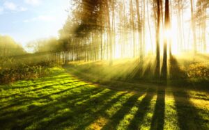 Nắng sớm | Bài thơ Nắng (Mai Văn Hai): Nắng lên cao theo bố