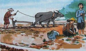 Ca dao Trâu ơi ta bảo trâu này: Trâu ơi ta bảo trâu này