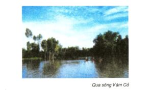 Vàm Cỏ Đông | Bài thơ Vàm Cỏ Đông