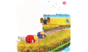 Hạt thóc | Bài thơ Hạt thóc