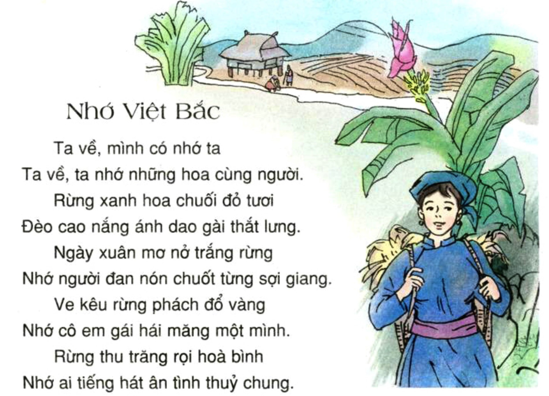 Top 89 Bài Kết Bài Về Bài Thơ Việt Bắc 2023 SiÊu Hay 1324