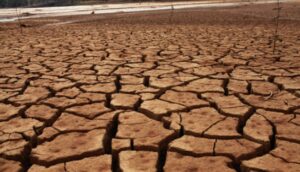 Ao nhà mùa hạn | Bài thơ Ao nhà mùa hạn