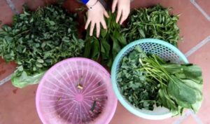 Ngưỡng cửa | Bài thơ Ngưỡng cửa (Vũ Xuân Quản)